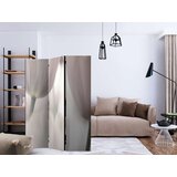  Paravan u 3 dijela - Tulips fine art - black and white [Room Dividers] 135x172 | shoptok.hr
