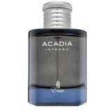 Emir Acadia Intenso parfemska voda za muškarce 100 ml Cijene