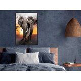  Poster - Majestic Elephant 30x45 | shoptok.hr