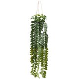 Mömax Umetna Rastlina Columnea Ii -Paz- | Shoptok.si