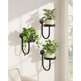 BAMWORLD 3x stensko stojalo za rastline U-oblike | Shoptok.si
