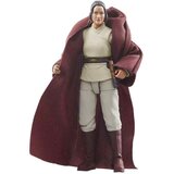 Hasbro Vojna zvezd: Akcijska figura mojstra Jedija Indare iz zbirke Acolyte 10 cm, (5000077658) | Shoptok.si
