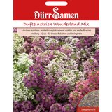 Dürr Samen grobeljnik Wonderland Mix | Shoptok.si