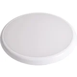 Stropna/stenska LED svetilka Dalia s senzorjem za gibanje 21 W IP65 30 cm