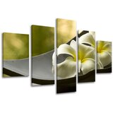  Slike na platnu 5-delne feng shui FS031E50 (moderne slike na) Cijene