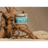 Organique Sea Essence Detox Therapy sol za kopel 600 g | Shoptok.si