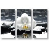 Slike na platnu feng shui | ePonuda.com