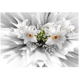  Samoljepljiva foto tapeta - Floral Explosion 196x140 | shoptok.hr