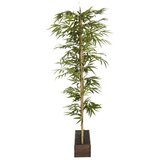 MID.YOU Umetna Rastlina Bambus I | Shoptok.si