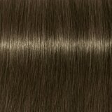 Schwarzkopf IGORA Royal boja za kosu nijansa 6-31 Light Brown 60 ml Cijene