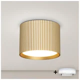 LED Spot svetiljka STRIPY 1xGX53/15W/230V zlatna