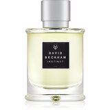 David Beckham Instinct toaletna voda 75 ml za moške | Shoptok.si