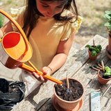  Svinčnik s semeni Sprout - jagoda | Shoptok.si