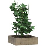  Kolci za vrtne biljke s 3 prstena 5 kom zeleni 75 cm čelični | shoptok.hr