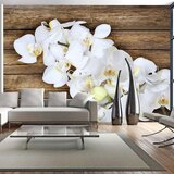  Tapeta - Delicacy on wood 150x105 Cijene