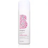 Farewell Frizz šampon za glajenje las 236 ml