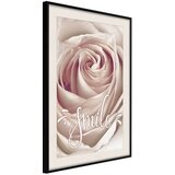  Poster - Rose with a Message 20x30 | shoptok.hr
