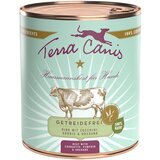 Terra Canis brez žit 6 x 800 g - Govedina z bučkami, bučami in origanom | shoptok.hr