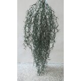 Lilium veštačka lozica asparagus 80cm 131961 Cene