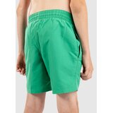 Nike 6" Volley Kids Boardshorts stadium green | Shoptok.si