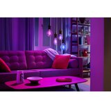 Wiz lED RGBW prigušiva sijalica G95 E27/6,3W/230V 2200-6500K Wi-Fi | Eponuda.com