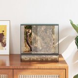  Terarij s pohranom *Transparent*an 30 x 30 x 30 cm Stakl | shoptok.hr