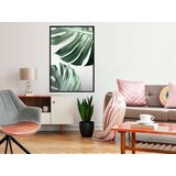  Poster - Leaves Like Swiss Cheese 40x60 | shoptok.hr