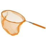 mrežica Narančasta