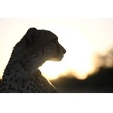 Nikon NIKKOR Z 70-200MM F/2.8 VR S objektiv | Eponuda.com