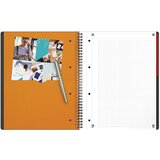 Blok KOLEGIJ A4 KARO 80L PERFORACIJA PLUS 4RUPE ACTIVEBOOK OXFORD 100104329 | Shoptok.si