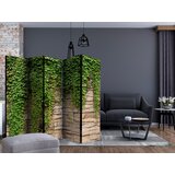  Paravan - Ivy wall II | shoptok.hr