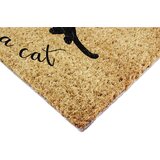 Artsy Doormats Predpražnik iz kokosovih vlaken 60x90 cm Life Is Better With a Cat – | Shoptok.si