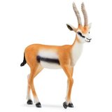 Schleich 14861 - Wild Life - Thomsonova gazela | Shoptok.si