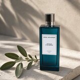 Angel Schlesser Les Eaux D'Un Instant Aromatic Sage toaletna voda za muškarce 150 ml | shoptok.hr