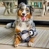 Play Pasja igrača Racoon – | Shoptok.si