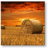  Slike na platnu pejzaž (moderne slike na platnu) | ePonuda.com