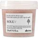 DAVINES Solu Sea Salt Scrub globinsko čistilni piling za vse tipe las 250 ml Cene