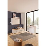 CARRYHOME KOMODA | Shoptok.si
