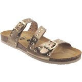 Plakton Natikači Bolino Re Pozlačena | Shoptok.si