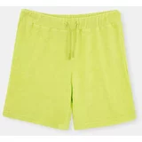 Dagi Shorts - Green