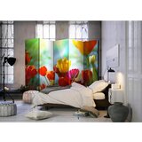 Artgeist Paravan Spring Tulips I, 5-Delni, Dvostranski | Shoptok.si