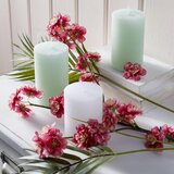 Premium Living velika sveča lia | Shoptok.si