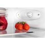 Amica prostostoječi hladilnik KS15615B (1171099) | Shoptok.si