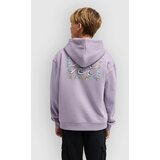 Billabong Foundation Kids Zip Hoodie purple ash | Shoptok.si