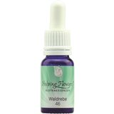 Helping Flowers® nr. 46 Srobot Cene