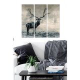 WALLXPERT MDF2916282 Višenamenska Dekorativna MDF Slika (3 Komada) | Eponuda.com