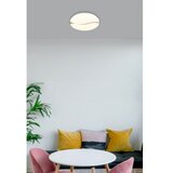 Globo 41790-18 - led plafonska svetiljka leticia LED/24W/230V prečnik 33 cm | Eponuda.com
