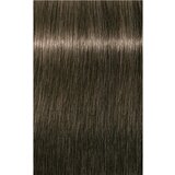Schwarzkopf Professional IGORA Royal barva za lase odtenek 6-1 Dark Blonde Cendré 60 ml | Shoptok.si