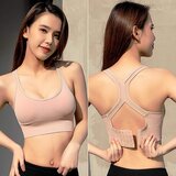  Sportski push up grudnjak u boji i veličini po izboru | shoptok.hr