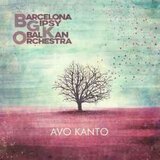  BGKO - Avo Kanto | Eponuda.com